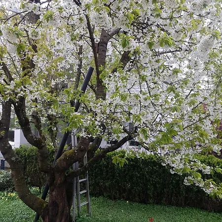 4 Zimmerwohnung 81m2 Naehe Stuttgart Airport Messe, Esslingen, Stadtbahn U7 Apartament