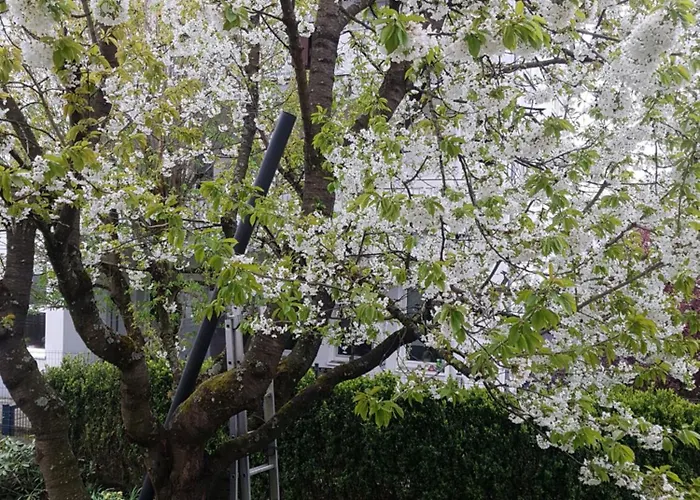 Fildorama 4-zimmerwohnung 81 M2 Naehe Stuttgart Airport Messe, Esslingen, Stadtbahn U7 Апартаменты